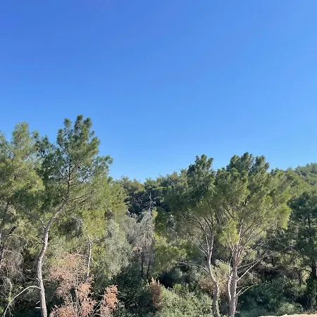 Appartement Fresh Air, Sounds Of Birds, Peace And Rejuvenation