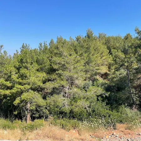 Fresh Air, Sounds Of Birds, Peace And Rejuvenation Appartement
